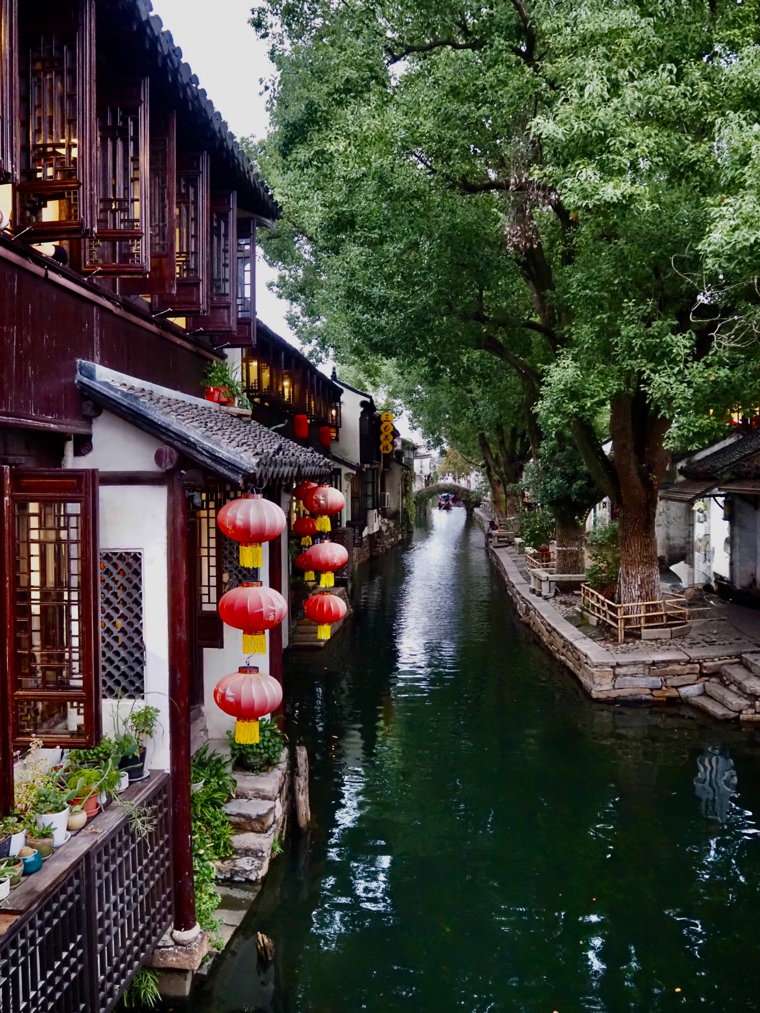A lantern-lined canal in a historic Chinese water town