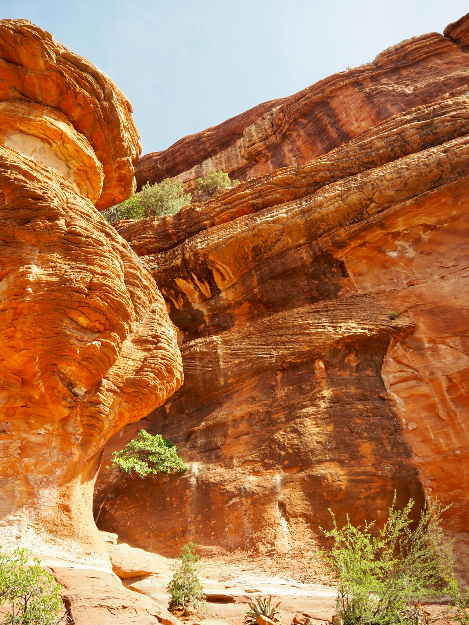 Sunlit red sandstone rising above a desert trail
